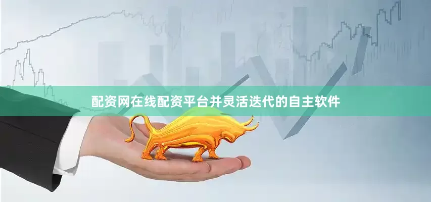 配资网在线配资平台并灵活迭代的自主软件