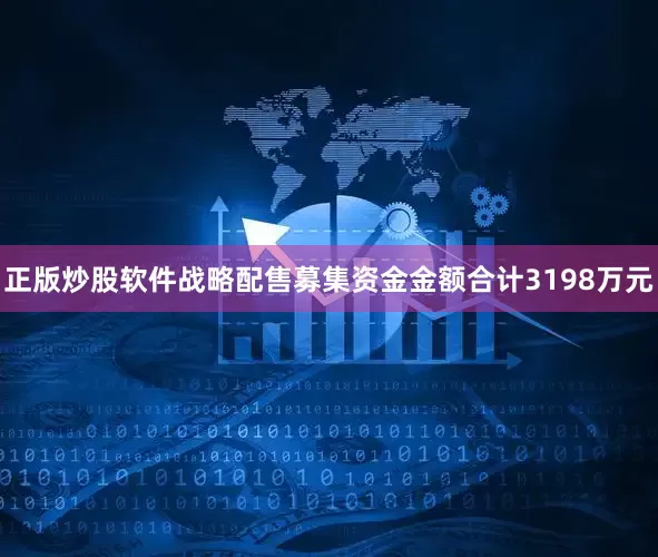 正版炒股软件战略配售募集资金金额合计3198万元